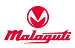 Il motore per il Malaguti Madison 250  - 2001