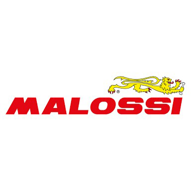 Malossi 1411408 logo