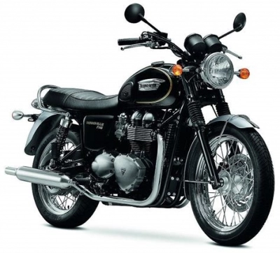 Manutenzione e accessori Triumph Bonneville 865 E T 100 