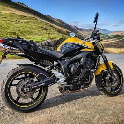 Yamaha FZ 6 N S2 9 ABS  maintenance and accessories