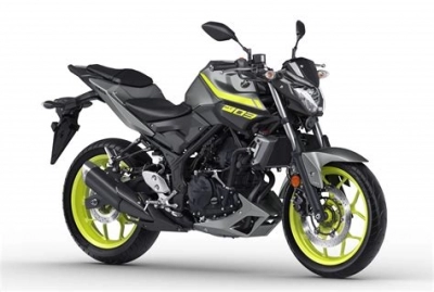 Yamaha MT 03 320 A K ABS  maintenance and accessories