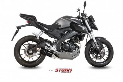 Yamaha MT 125 F ABS  maintenance and accessories