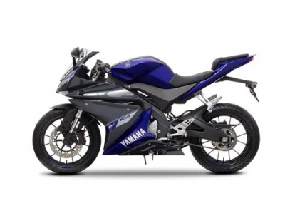 Yamaha YZF R 125 maintenance and accessories