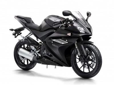 Yamaha YZF R 125 H ABS  maintenance and accessories