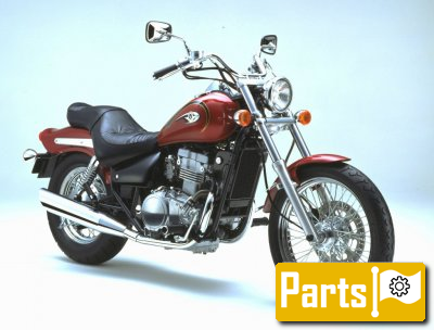 De onderdelen catalogus van de Kawasaki En500 2002, 500cc