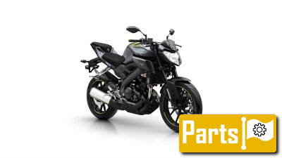 De onderdelen catalogus van de Yamaha Mt125a 2016, 125cc